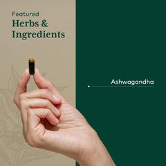 GAIA Herbs PRO Ashwagandha 700 capsule dispense, easy daily ritual.