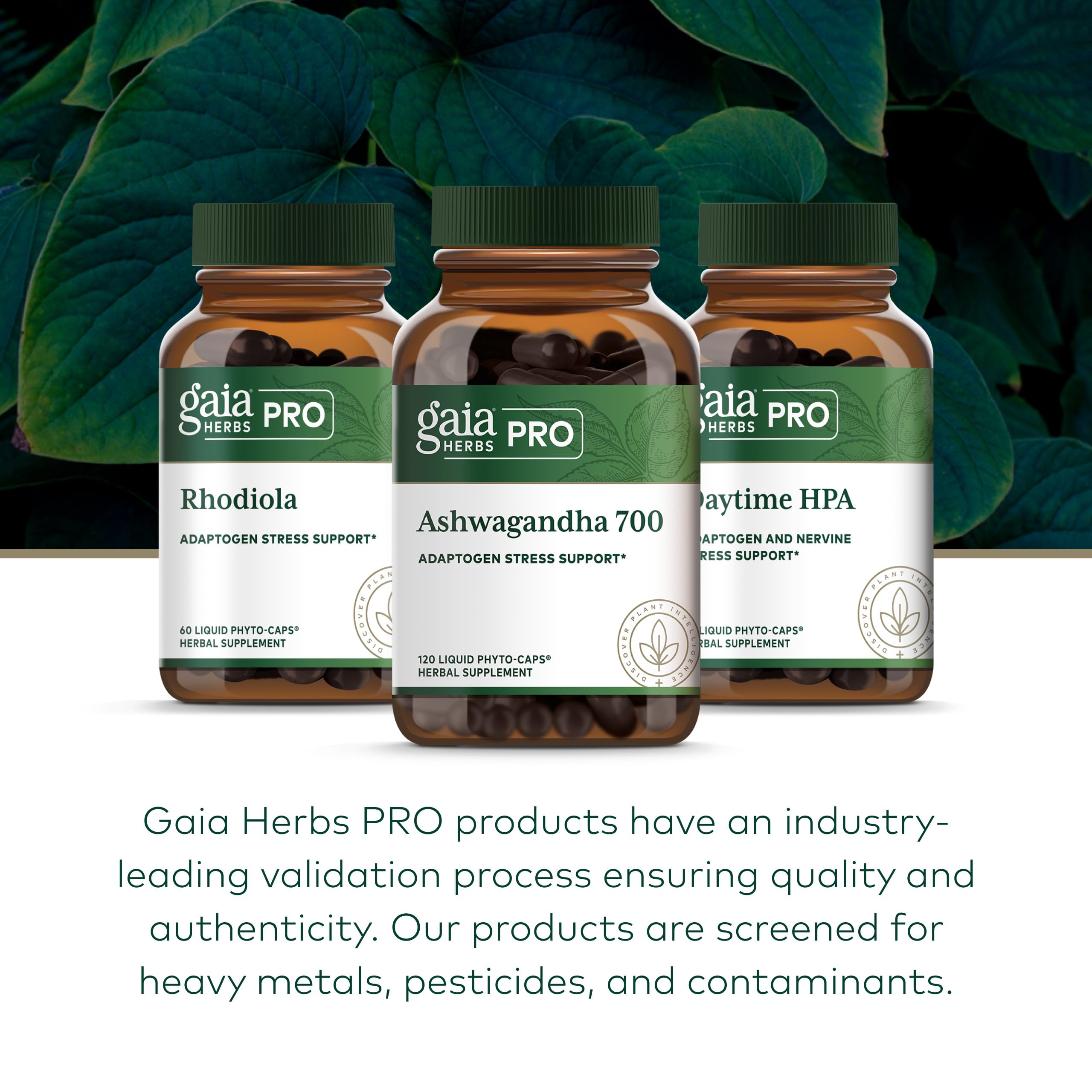 GAIA Herbs PRO Ashwagandha 700 quality testing, pure potency you can trust.