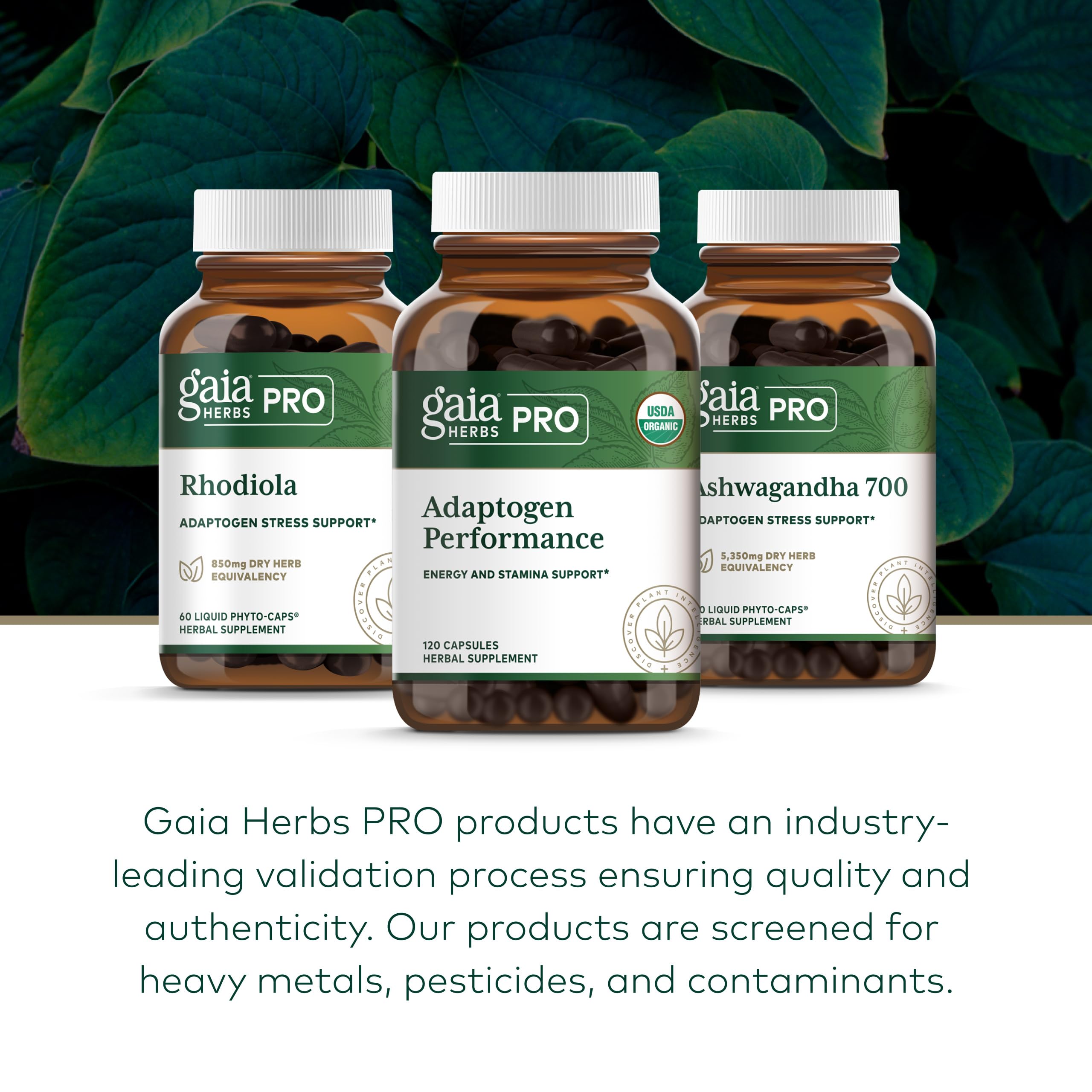 Gaia Herbs PRO Adaptogen Performance ashwagandha ingredient close-up for balance.
