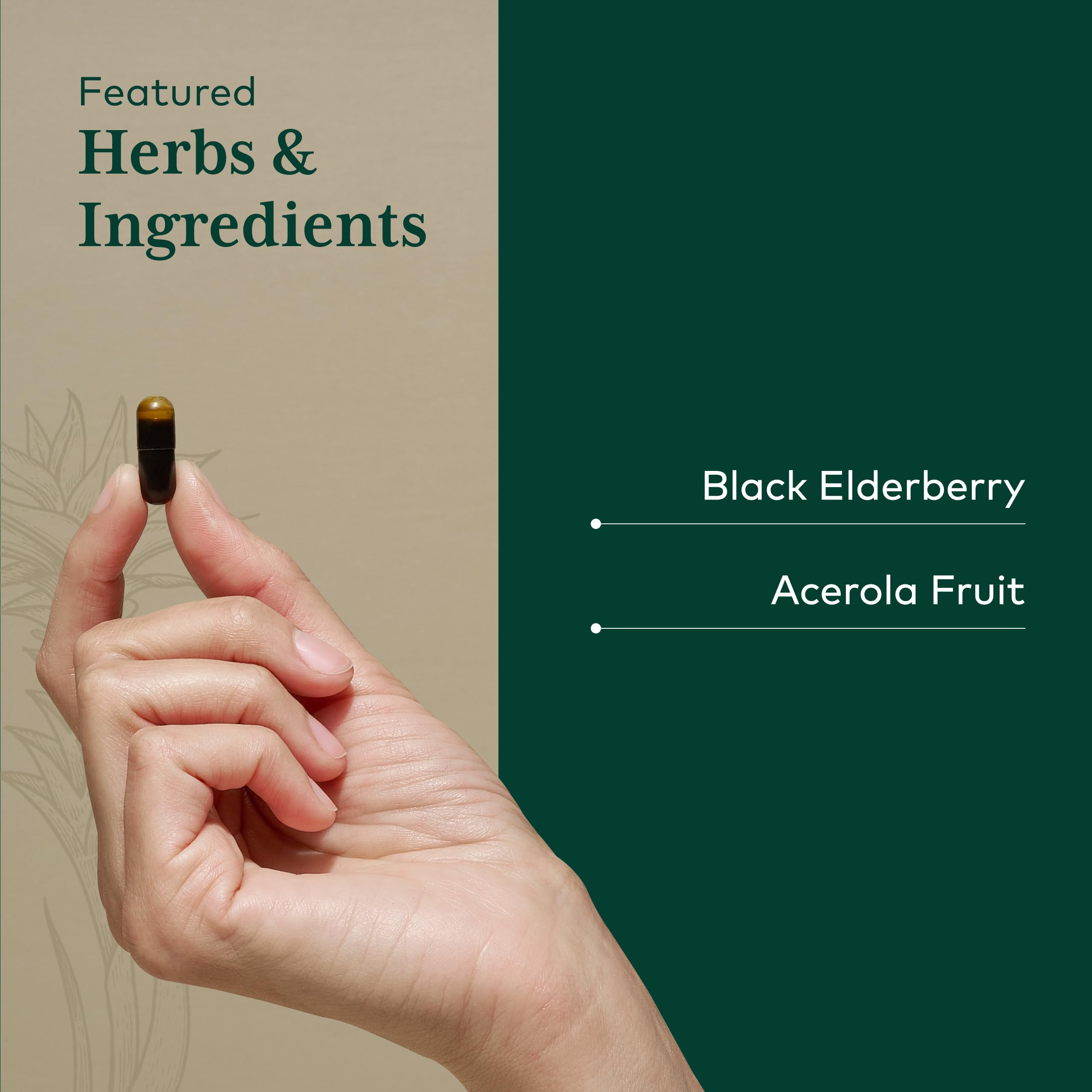 Gaia Herbs PRO capsules seen from the side for easy daily dosage