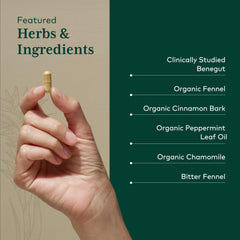 GAIA Herbs PRO cinnamon bark for warm digestive support.