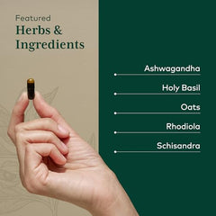 GAIA Herbs Pro Daytime HPA blend with ashwagandha and rhodiola
