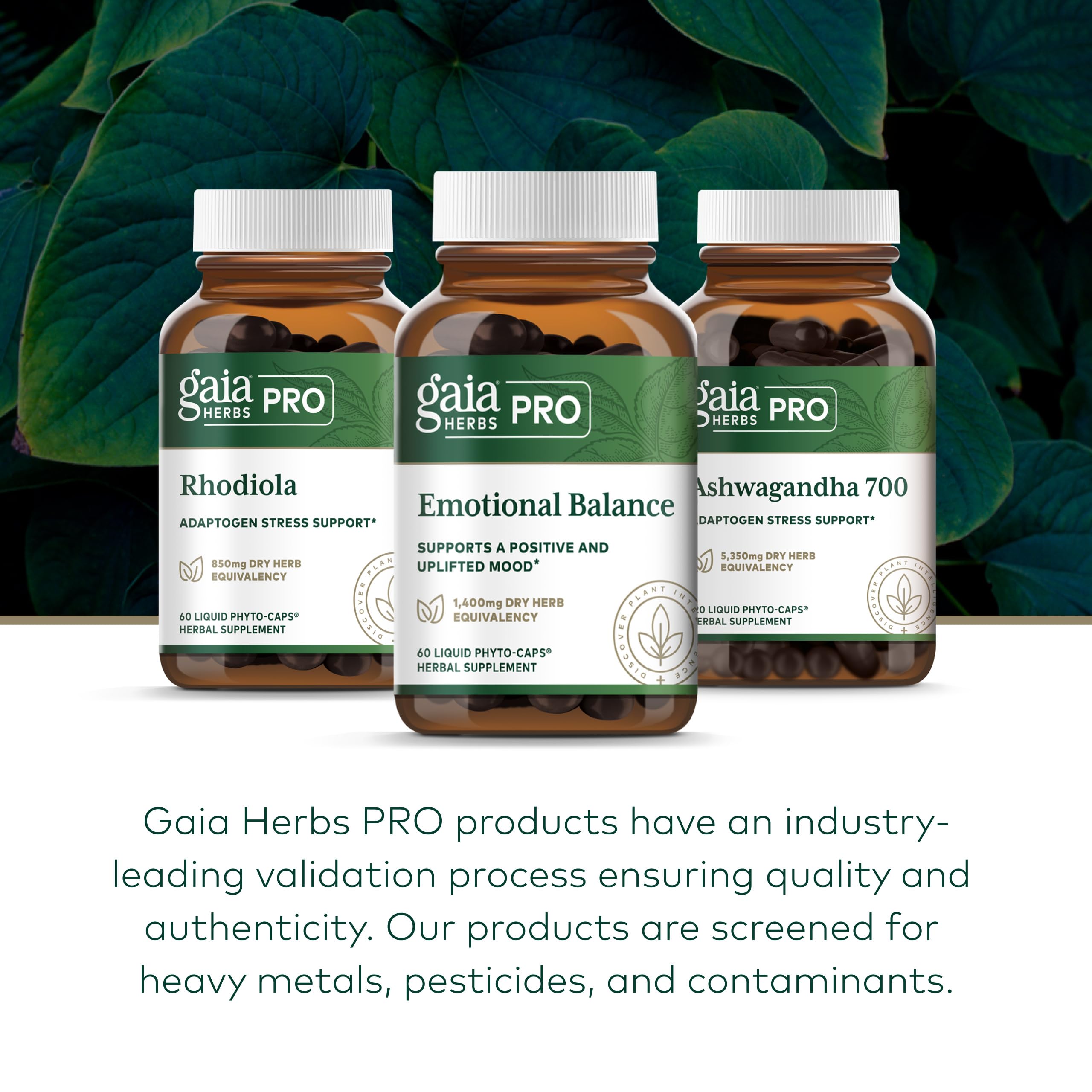 Gaia Herbs PRO Emotional Balance farm-field photo highlighting regenerative organic sourcing.