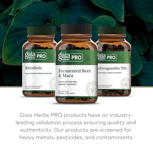 Gaia Herbs PRO lifestyle scene implying energy support and relaxation possibilities.