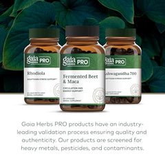 Gaia Herbs PRO lifestyle scene implying energy support and relaxation possibilities.