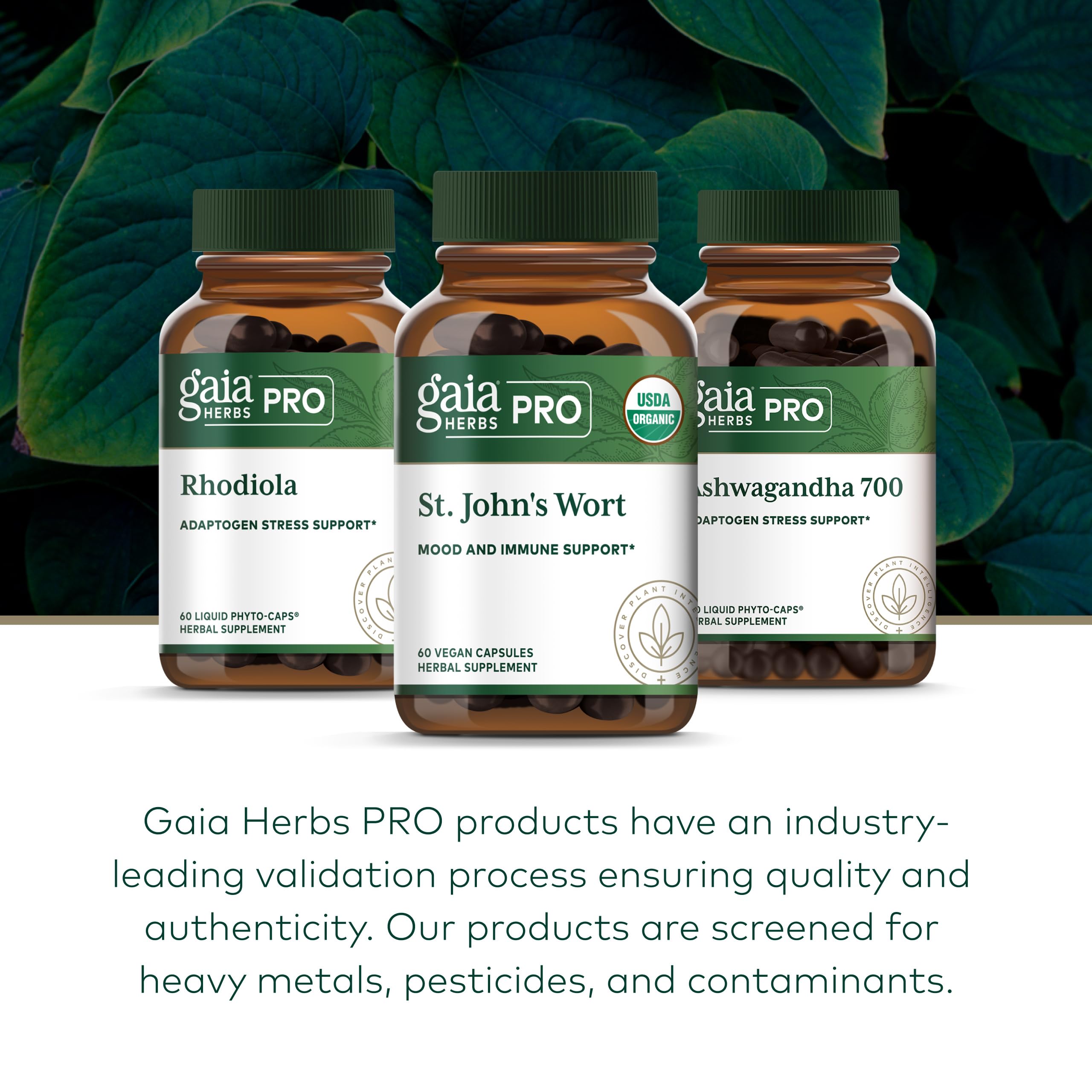 Gaia Herbs PRO regenerative organic farm field overview