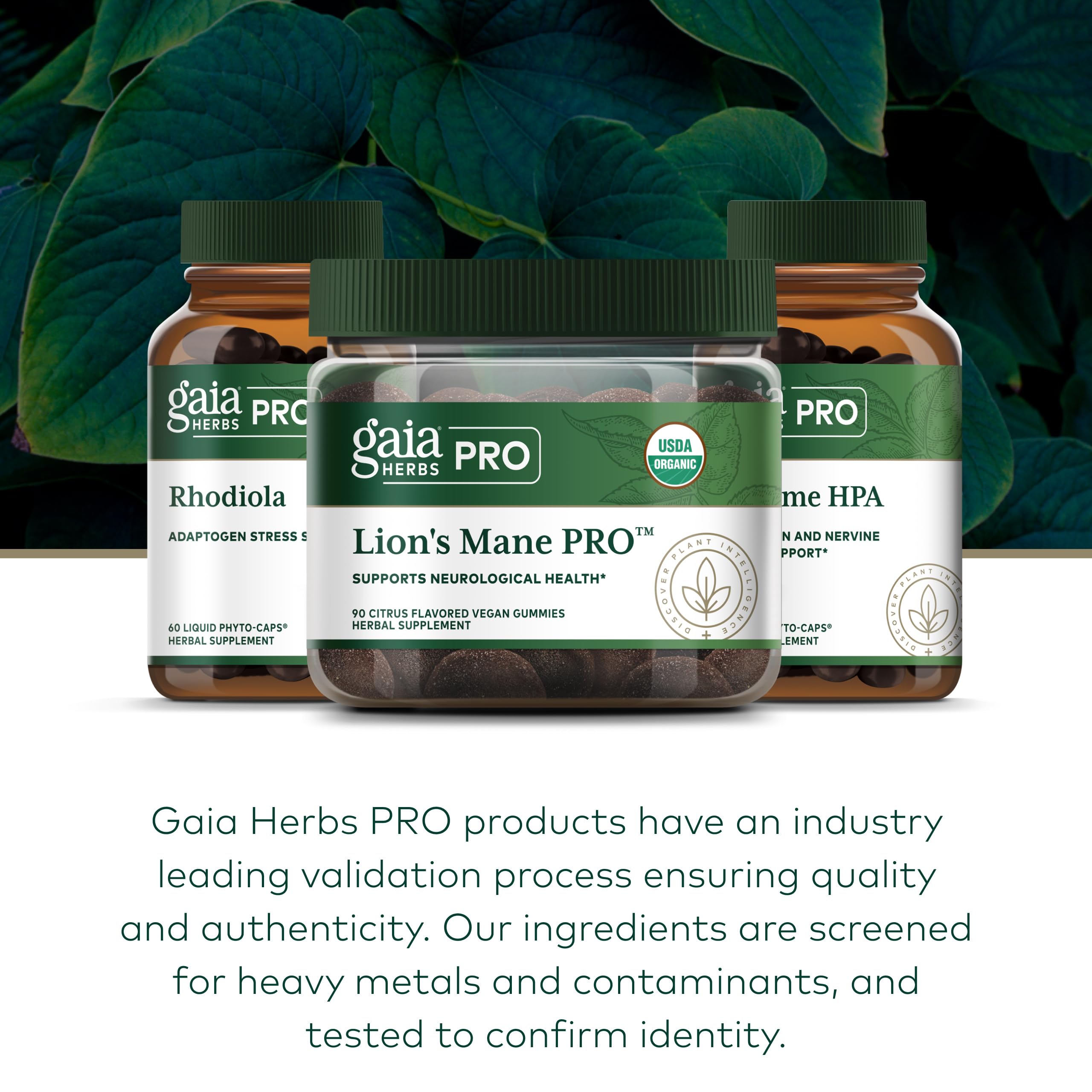 Gummies arranged with natural ingredients signaling a clean plant-based formula from Gaia.