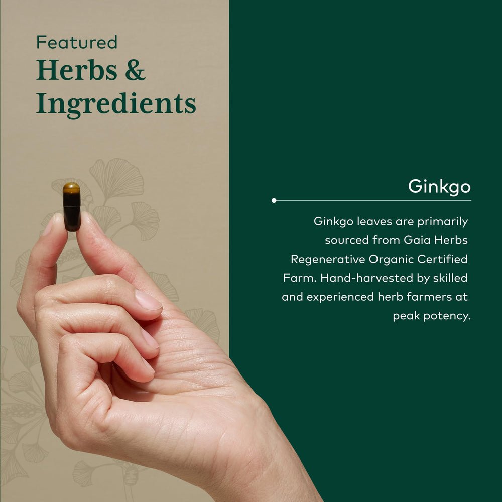 GAIA Herbs PRO Ginkgo leaf close-up showcases natural potency.