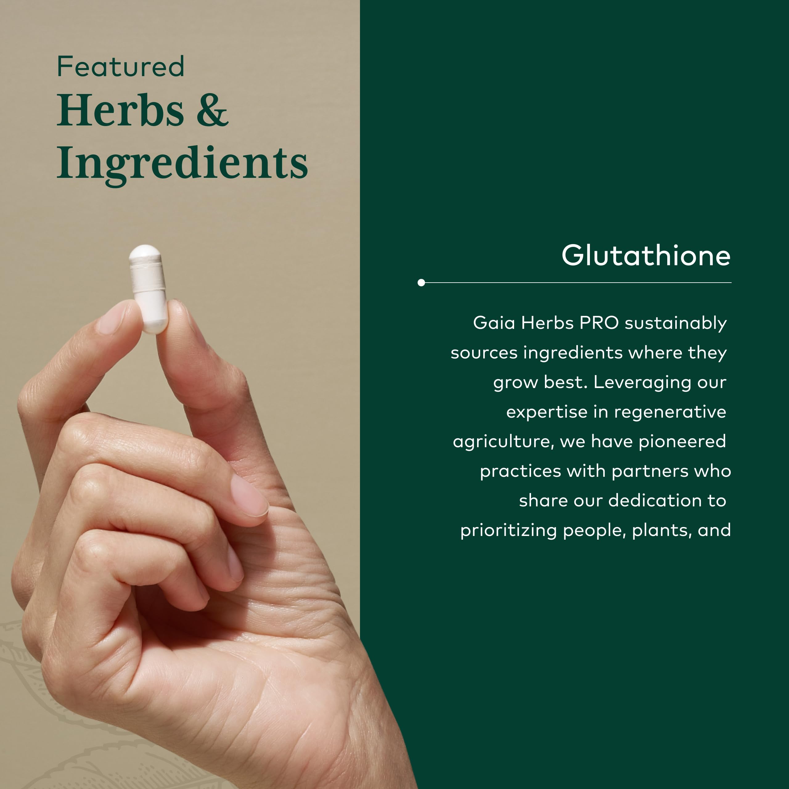 Gaia Herbs PRO Glutathione 500 ingredients closeup shows high-quality antioxidants