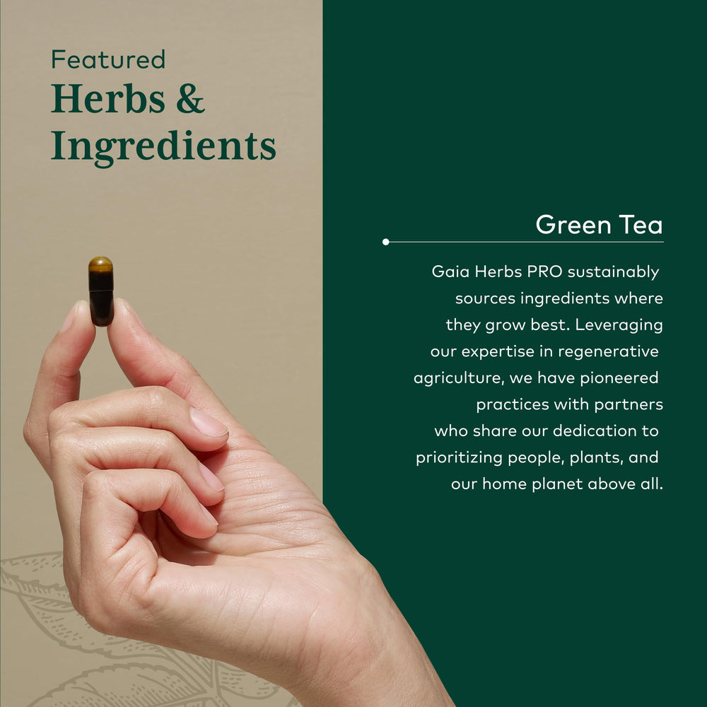 Gaia Herbs PRO green tea polyphenols close-up for antioxidant support.