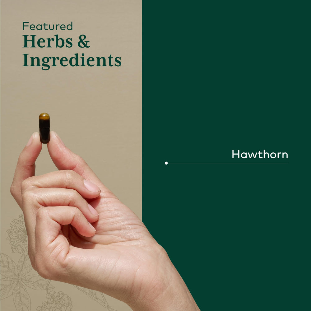 GAIA Herbs Pro Hawthorn organic berries closeup for premium plant-based ingredients