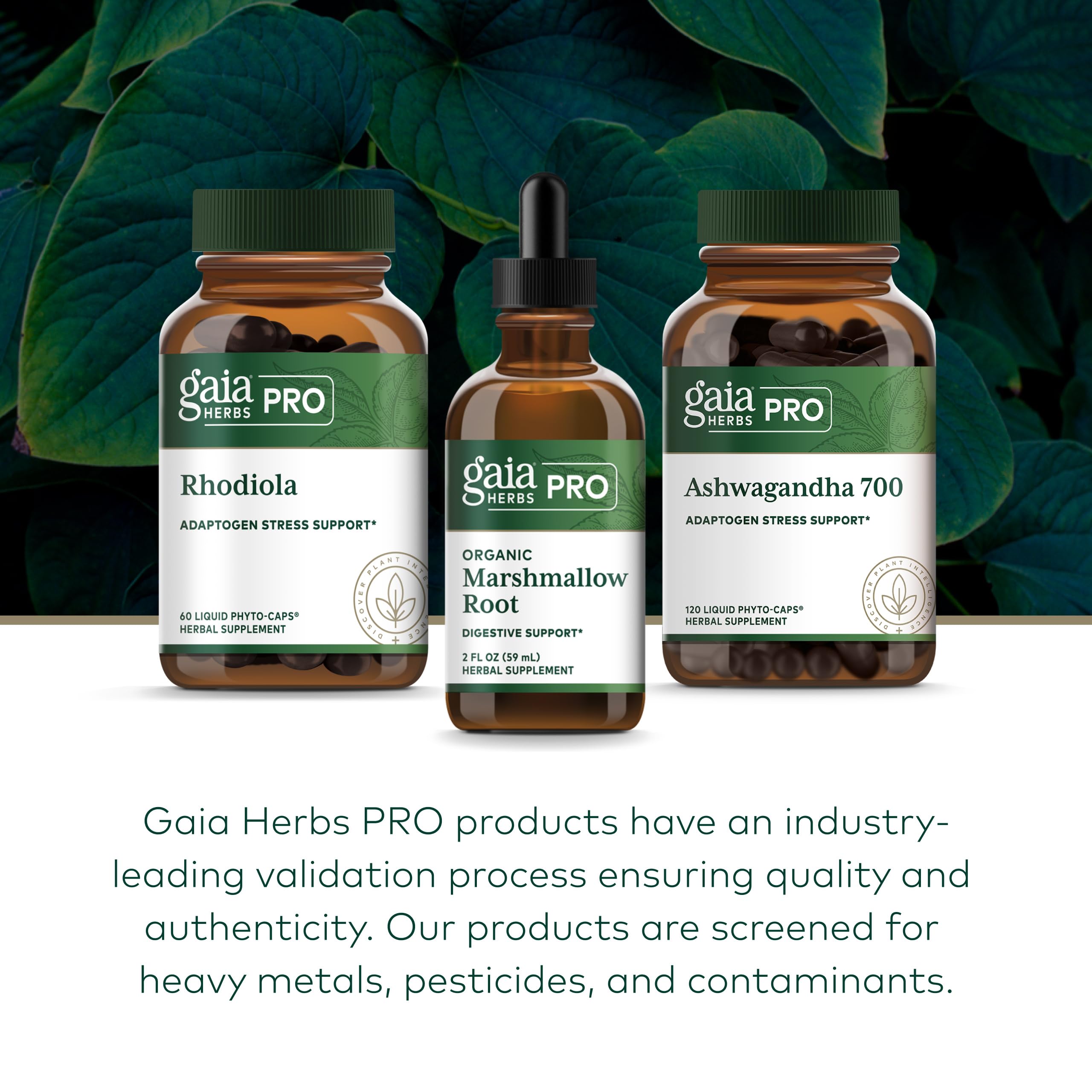 GAIA Herbs PRO herbal collection photo highlights diverse ingredients grown on-site.