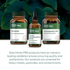 GAIA Herbs PRO herbal collection photo highlights diverse ingredients grown on-site.