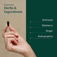 Gaia Herbs PRO Immune Activator ingredients panel featuring echinacea and elderberry.