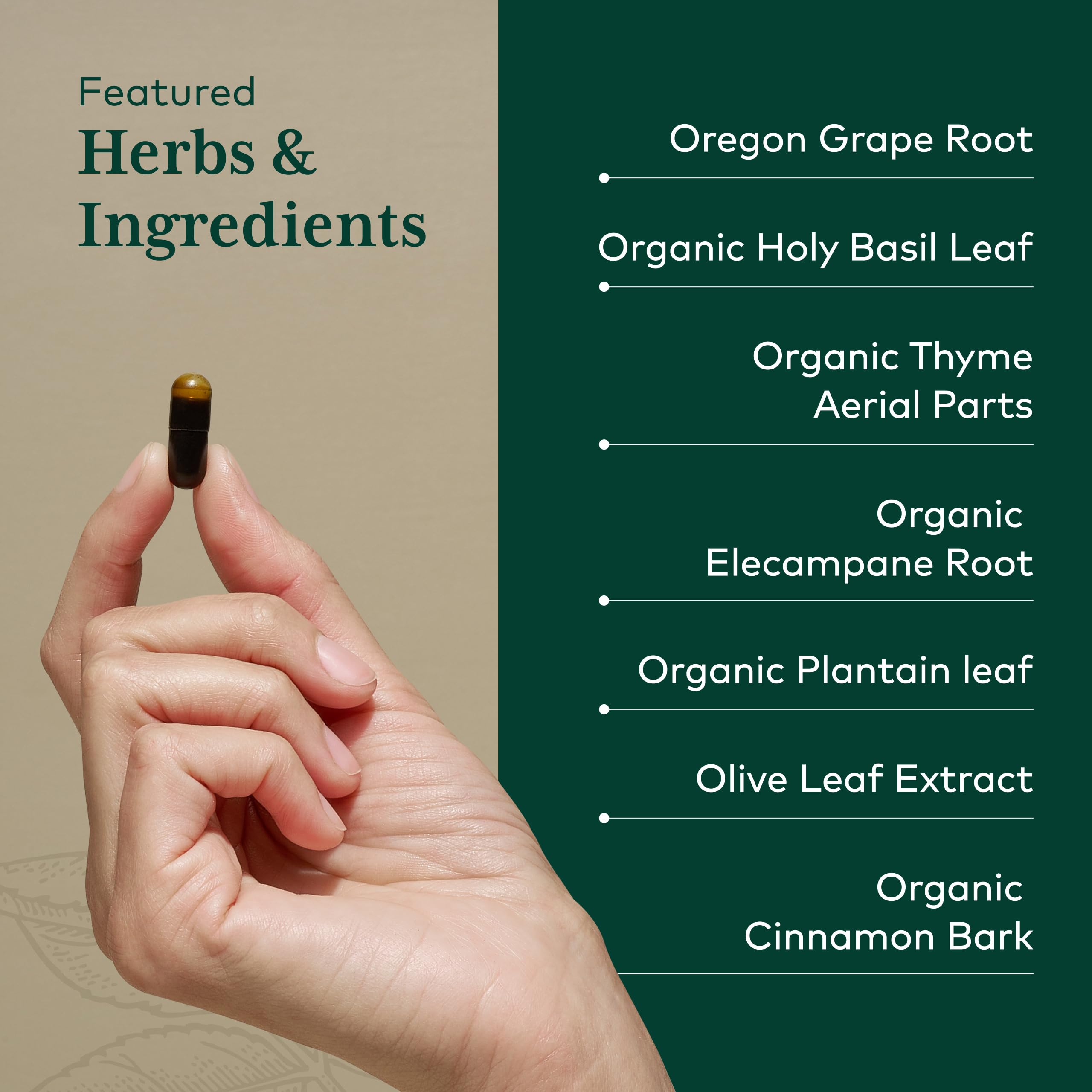 Gaia Herbs PRO Cinnamon Bark promotes digestive comfort