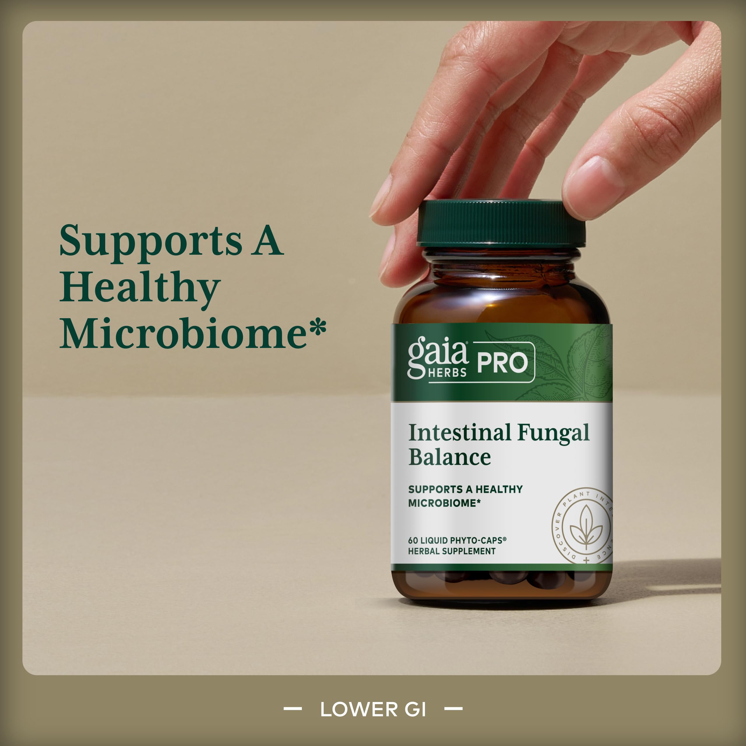 Gaia Herbs PRO Holy Basil leaf supports botanical fungal balance