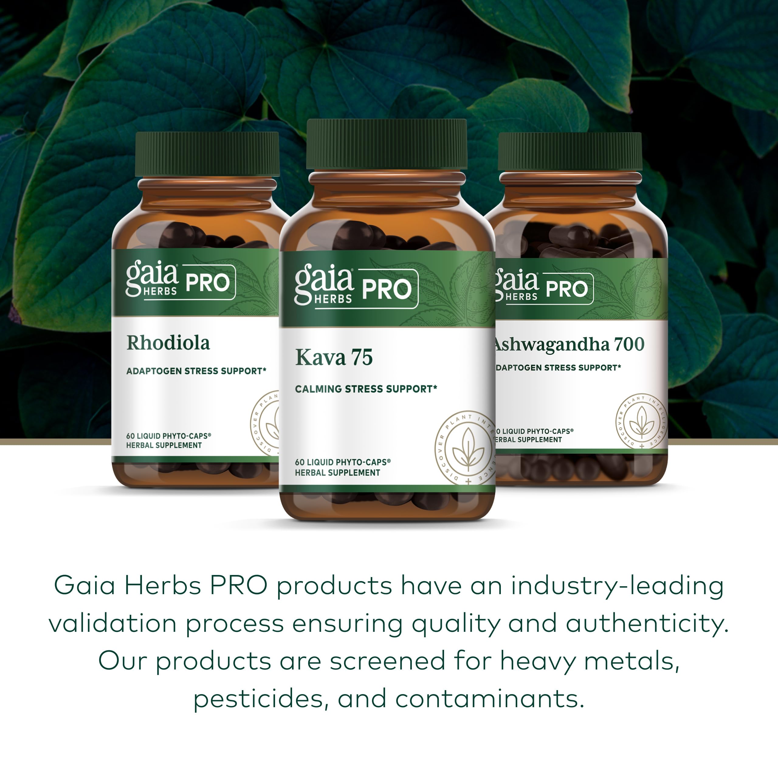 Gaia Herbs PRO Kava 75 shelf display for easy access to calm support