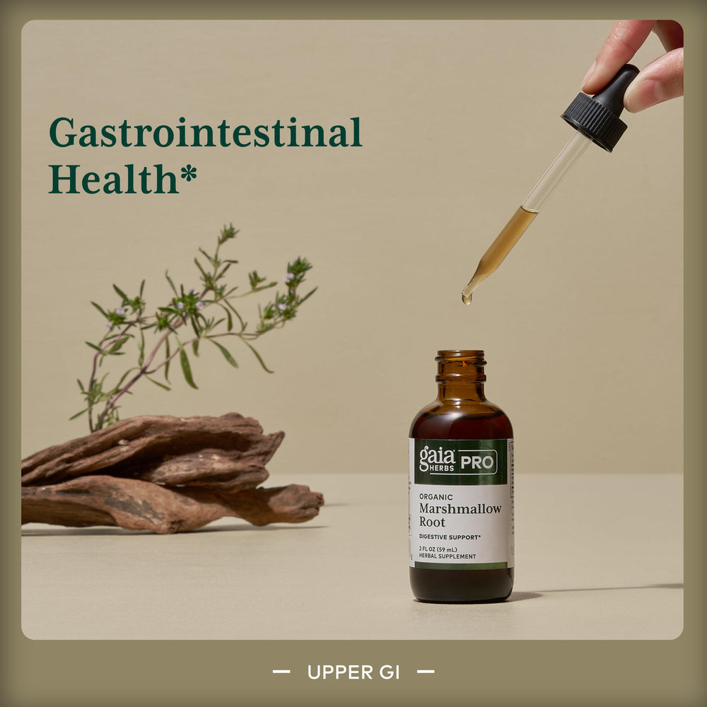 GAIA Herbs PRO marshmallow root extract liquid close-up emphasizes purity and potency.