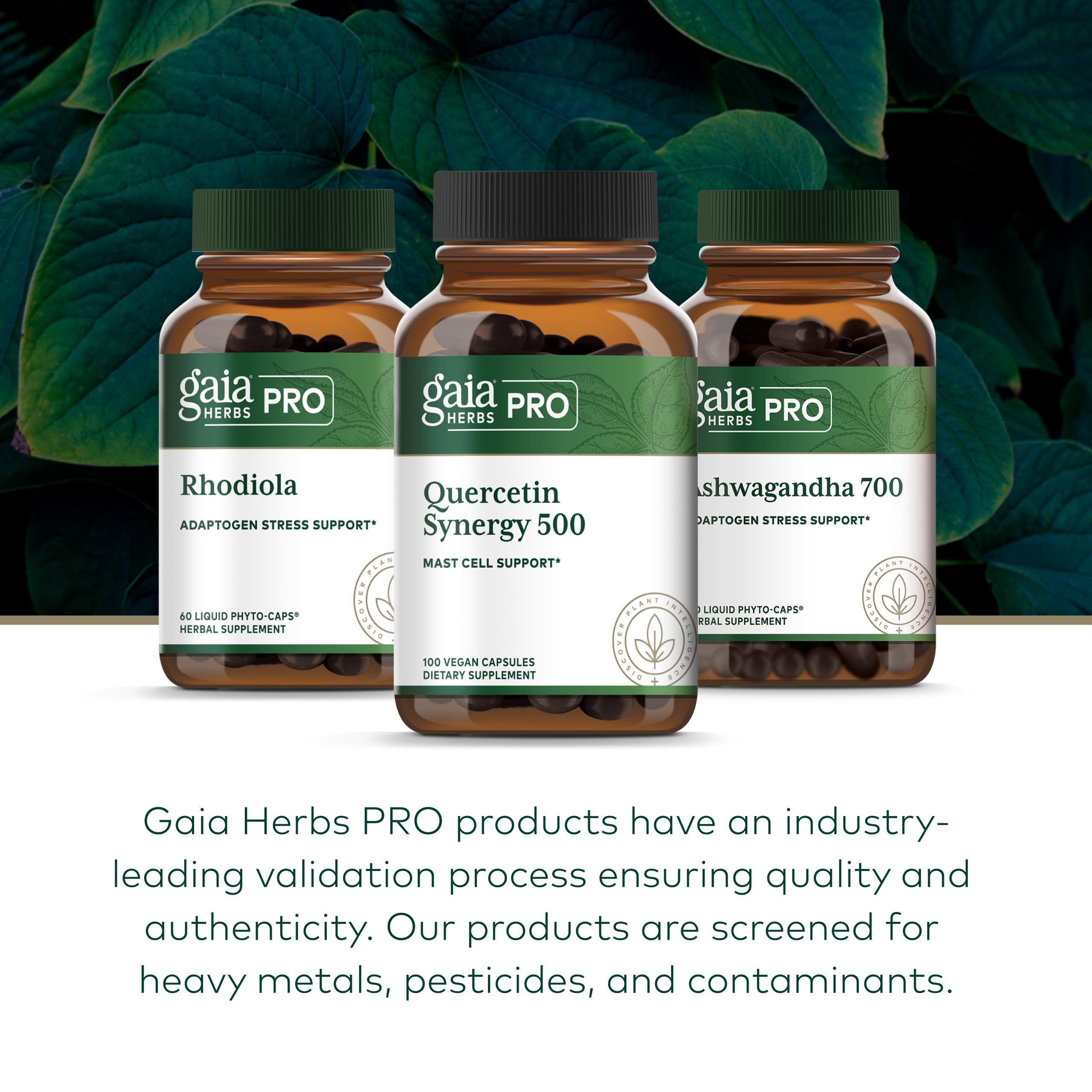 Gaia Herbs PRO Quercetin Synergy 500 front view of bottle design