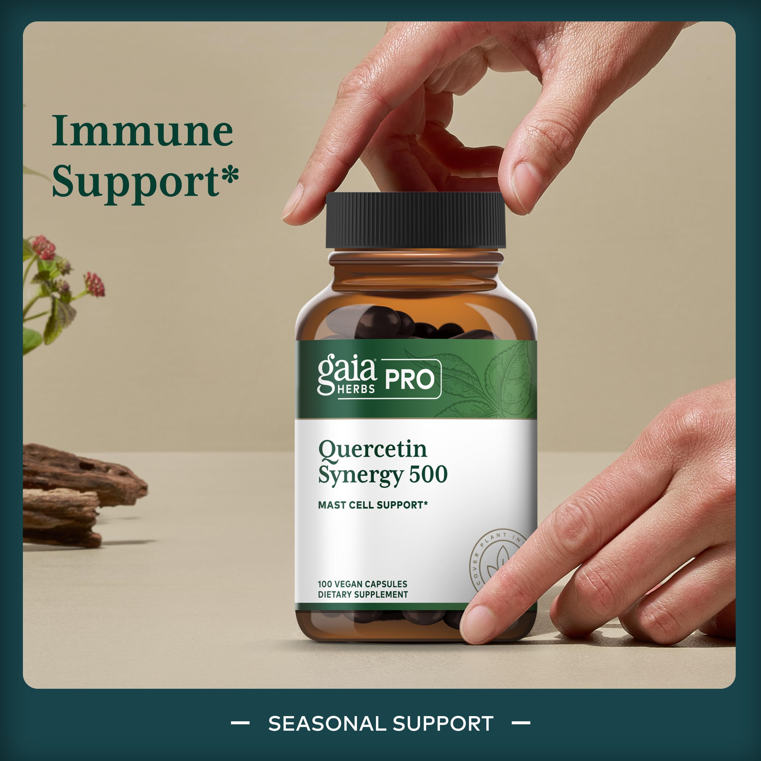 Gaia Herbs PRO Quercetin Synergy 500 label highlighting ingredients and potency
