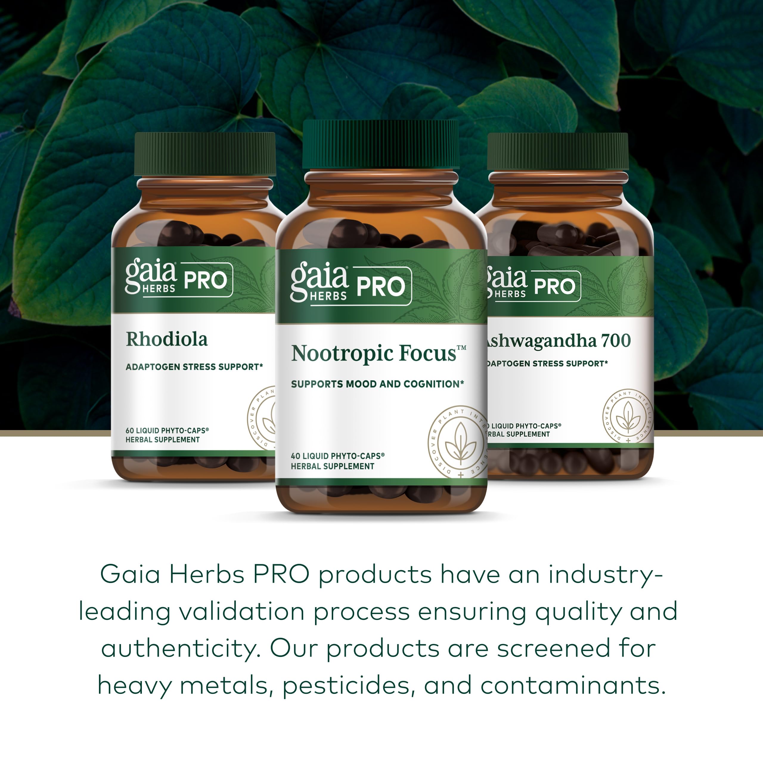 Gaia Herbs PRO regenerative farm field scene showing sourced organic herbs