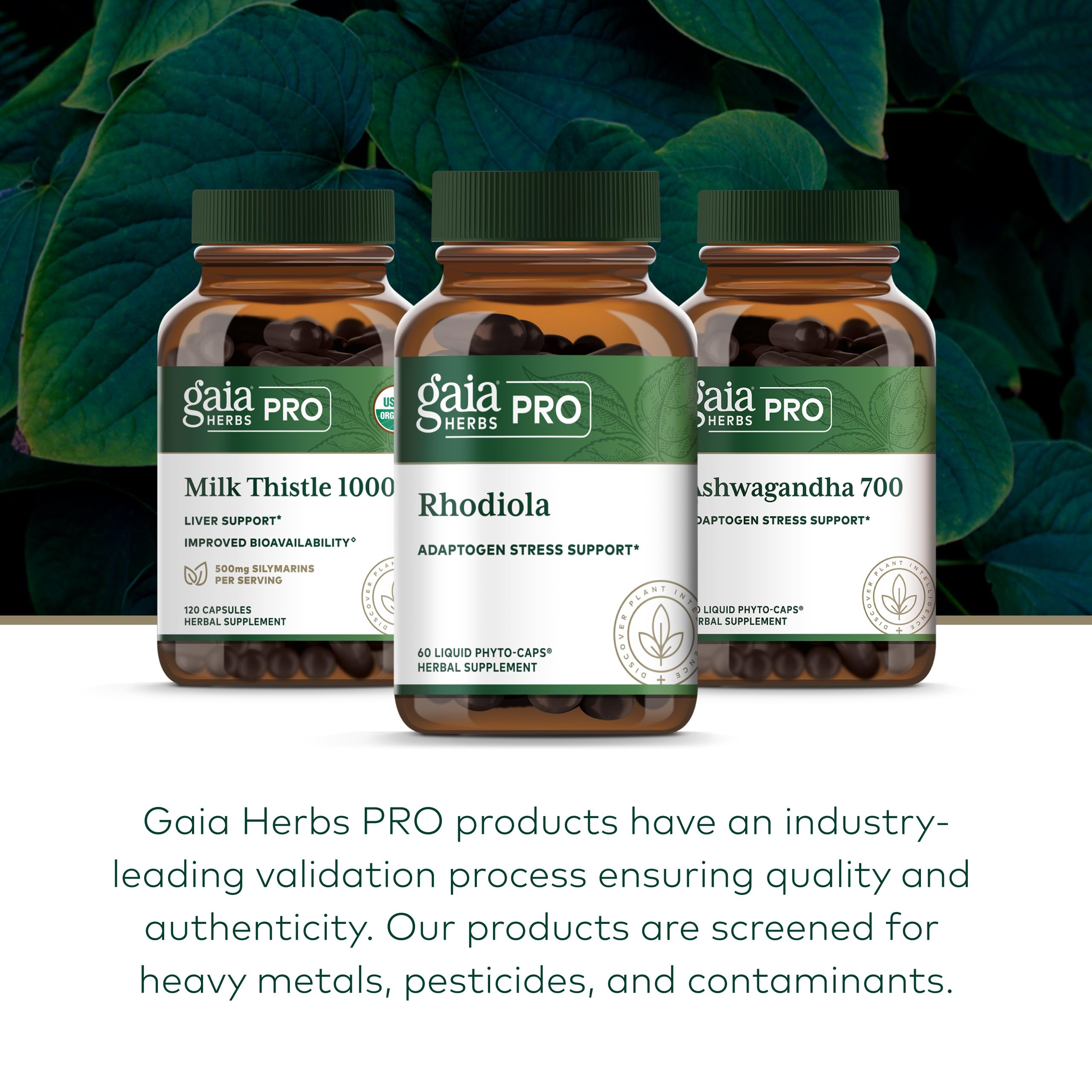 GAIA regenerative organic farm image signals sustainable sourcing.