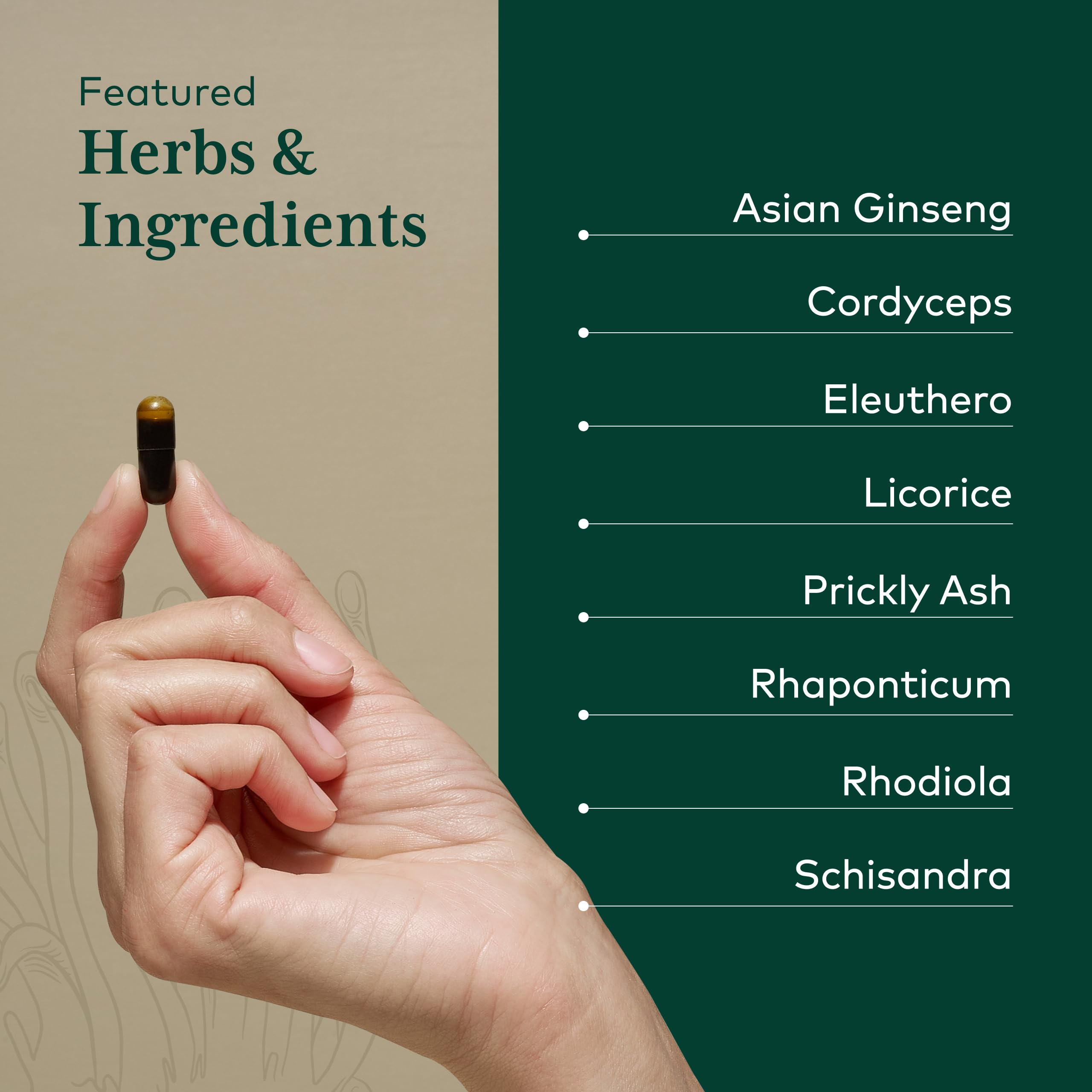 Gaia Herbs regenerative organic farm in North Carolina showcasing sourcing and care