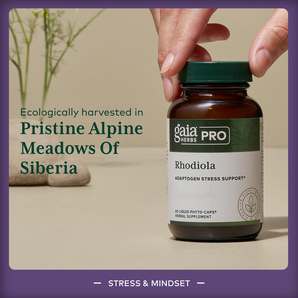 GAIA Rhodiola label detail emphasizes quality and potency.