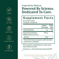 GAIA Rhodiola root extract closeup highlighting potent adaptogen source.
