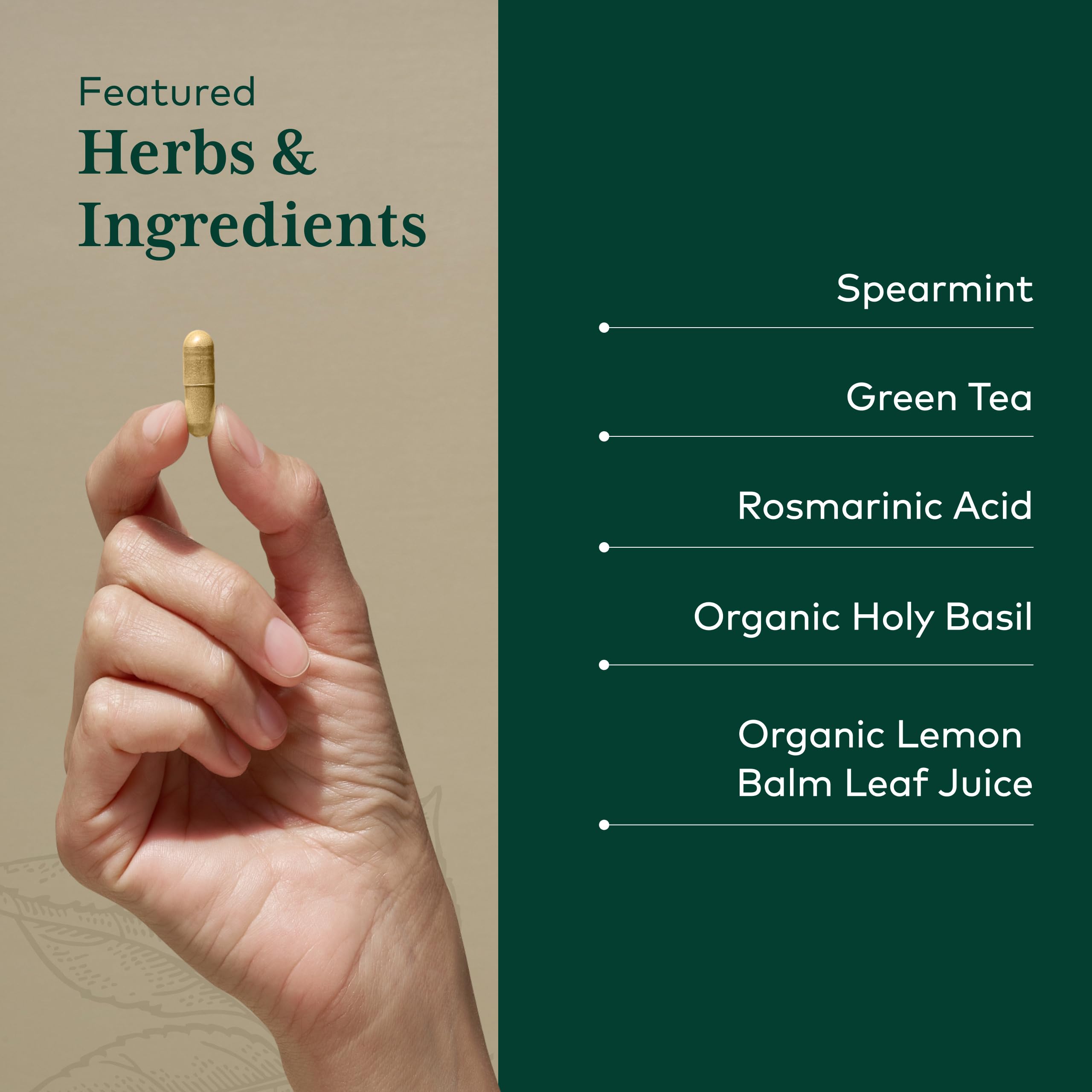 Illustration of Somni-Mint herbal blend and key ingredients.