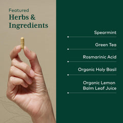 Illustration of Somni-Mint herbal blend and key ingredients.