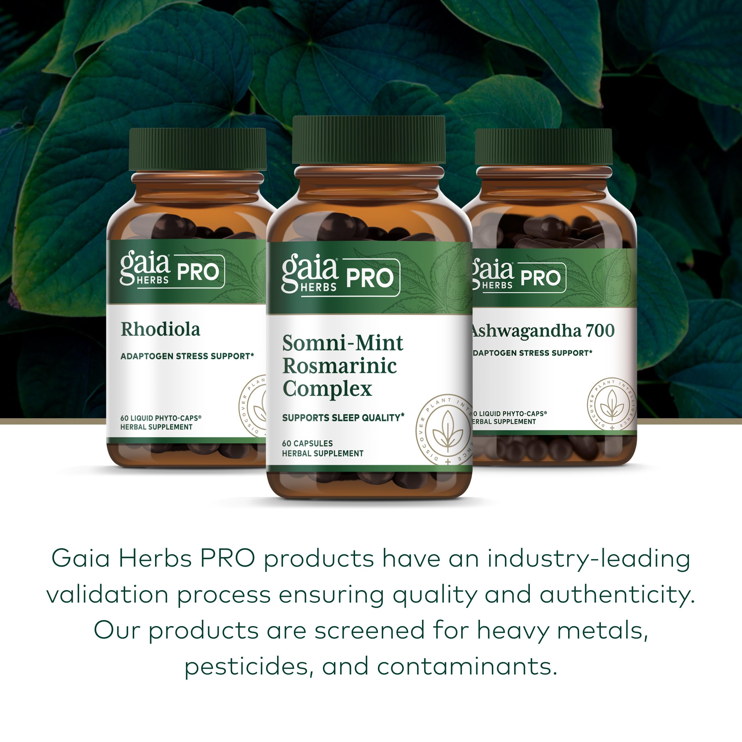 Gaia Herbs PRO Somni-Mint rosmarinic-acid illustration for calming support.