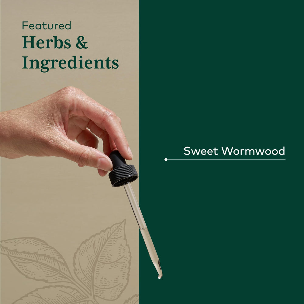Measuring drops in water with GAIA Herbs PRO Sweet Wormwood for daily use.