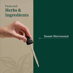 Measuring drops in water with GAIA Herbs PRO Sweet Wormwood for daily use.