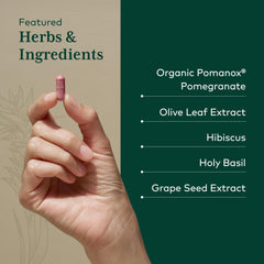 Hibiscus flower paired with Gaia Herbs PRO Systolic Complex blend