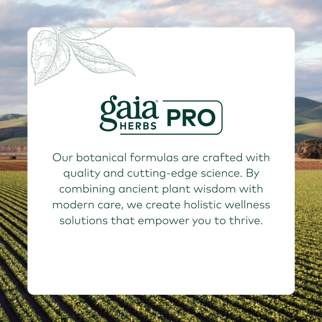 On-shelf display of Gaia Herbs PRO Turmeric Fenugreek Complex