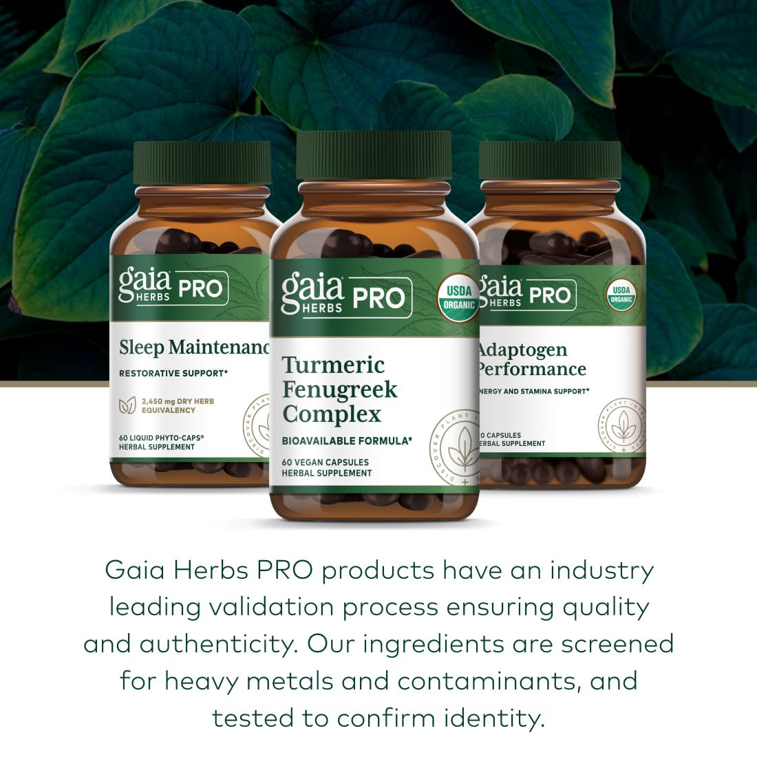 Vegan capsules packaging emphasizing plant-based wellness