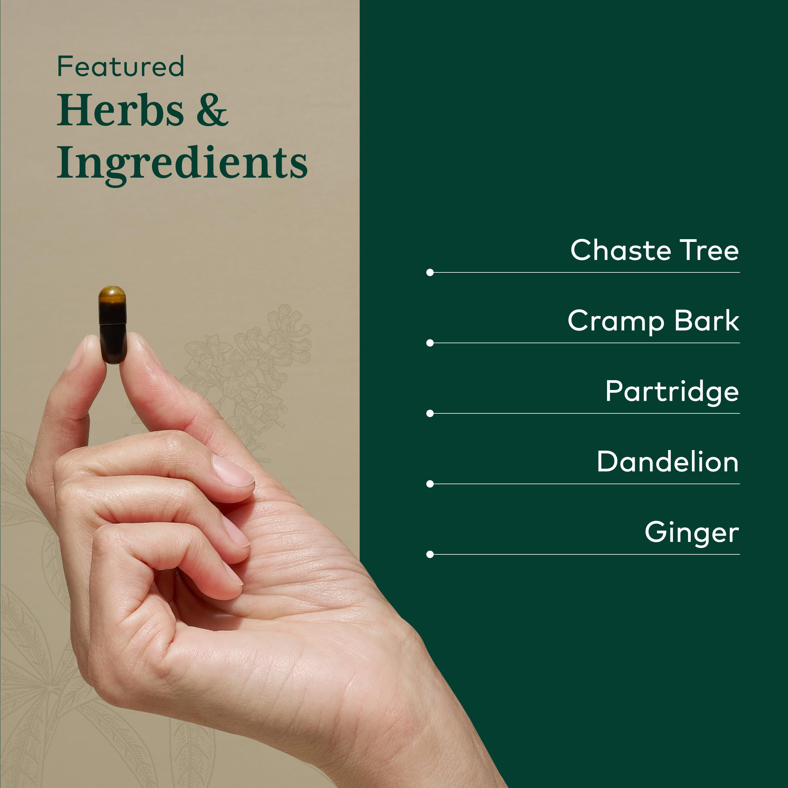 Gaia Herbs Pro Vitex ingredients highlight organic ginger and dandelion root for women's health support.
