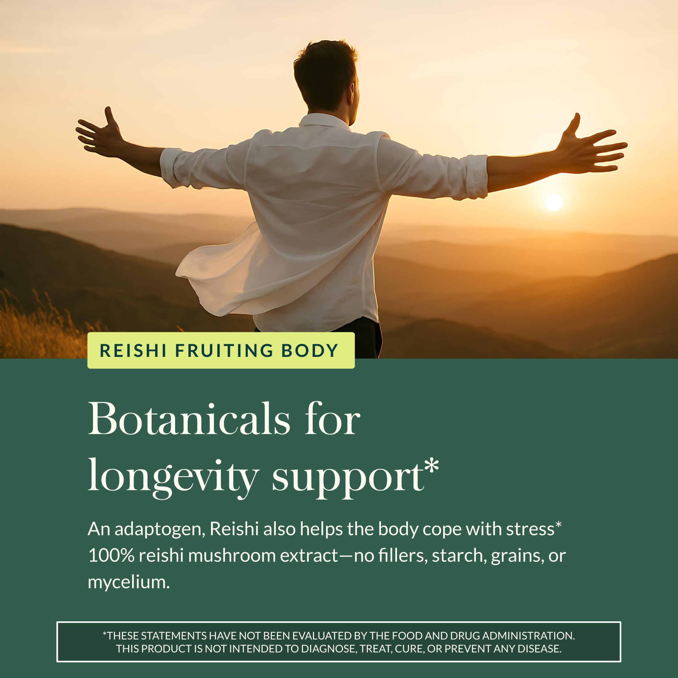 Gaia Herbs Reishi plants and herbs highlight natural sourcing.