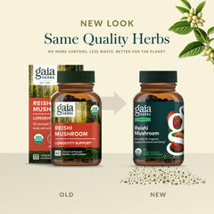 Gaia Herbs Reishi vegan phyto-capsules ready for daily ritual.