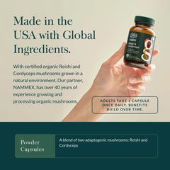 Gaia Herbs Respiratory Mushroom Blend packaging showcasing organic mushroom extracts.