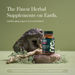 Gaia Herbs Resveratrol bottle pour showing easy daily capsules