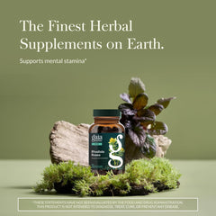 Gaia Herbs Rhodiola Rosea dropper cap close-up highlighting potency.