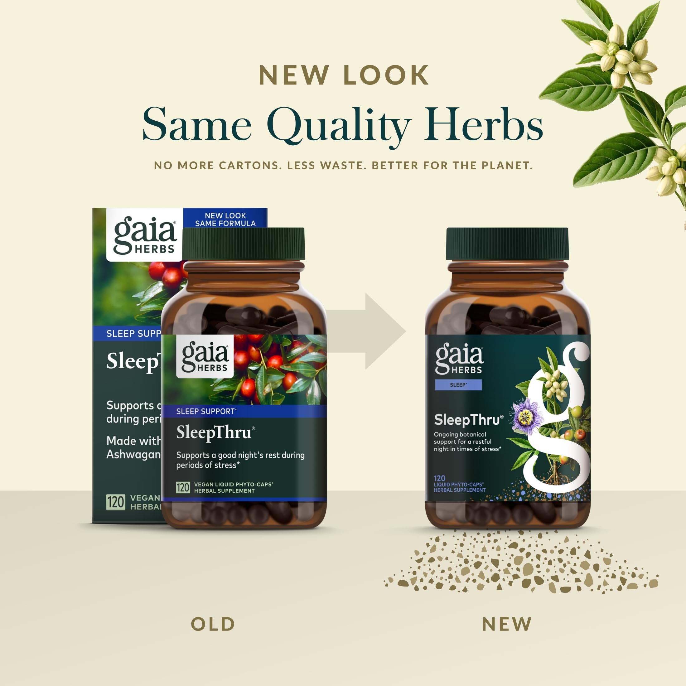 Gaia Herbs SleepThru jujube date image suggests comforting nightly rest.