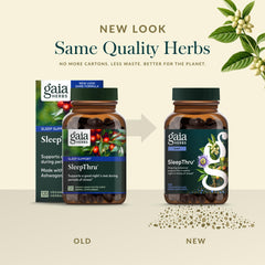 Gaia Herbs SleepThru jujube date image suggests comforting nightly rest.