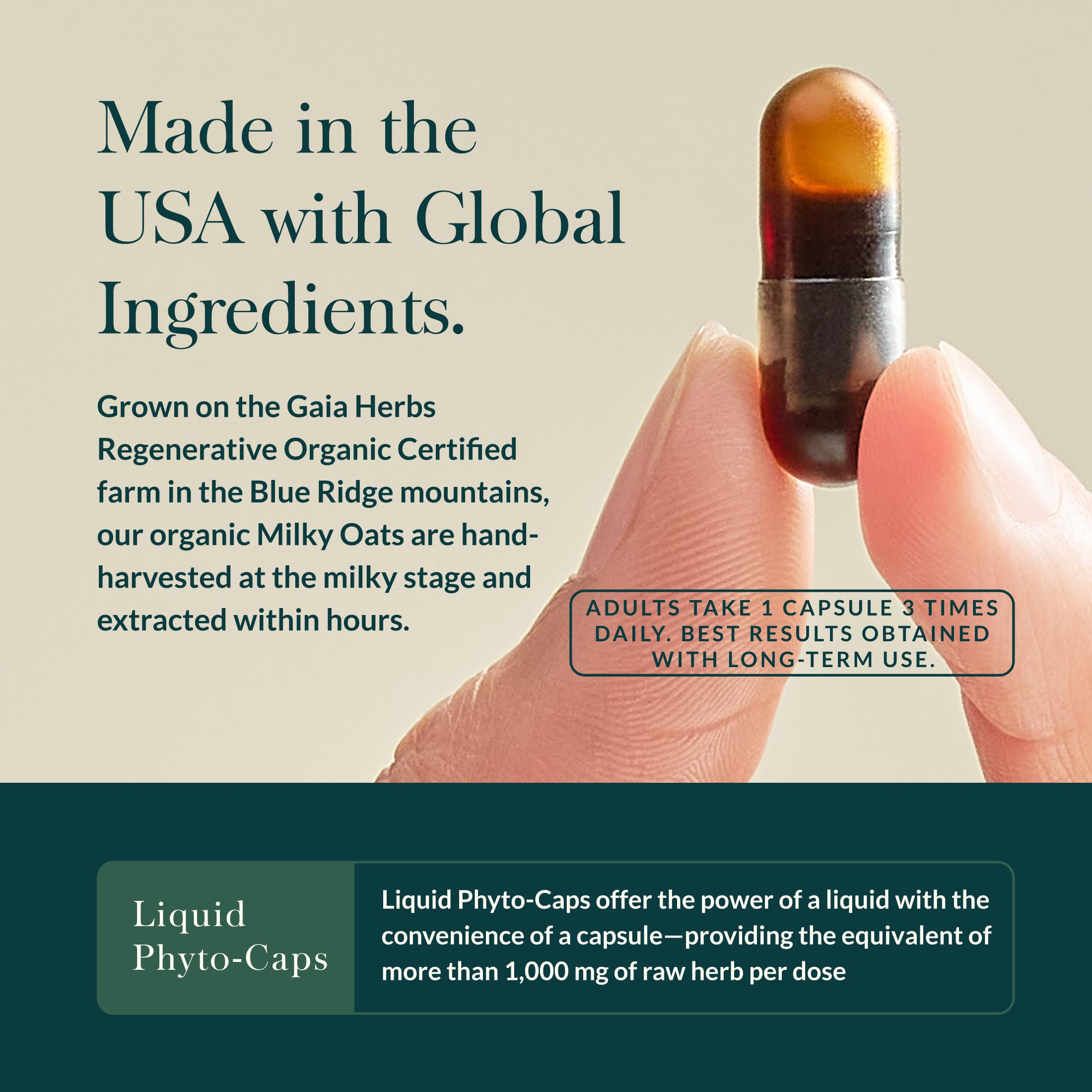 Gaia Herbs Steady Mind ingredients chart lists St. John's Wort and others.