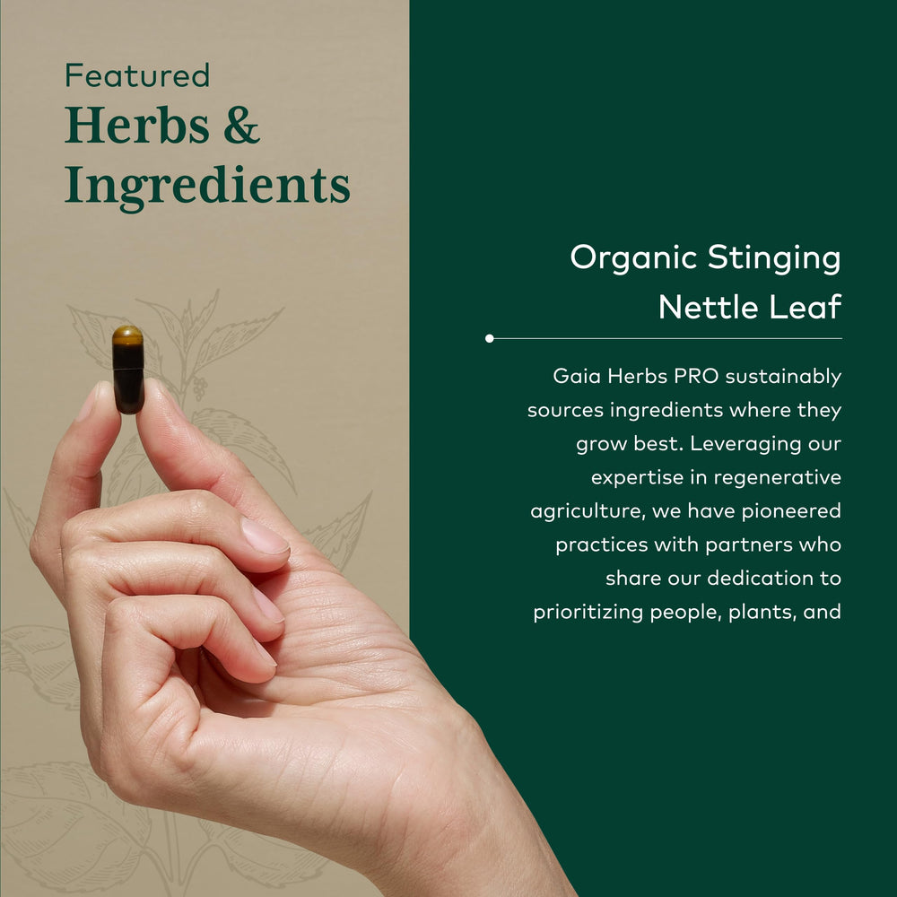 Gaia Herbs Stinging Nettle Leaf capsules in blister pack for vegan, gluten-free supplementation