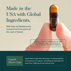 Gaia Herbs phyto caps closeup showing vegan capsules for daily wellness
