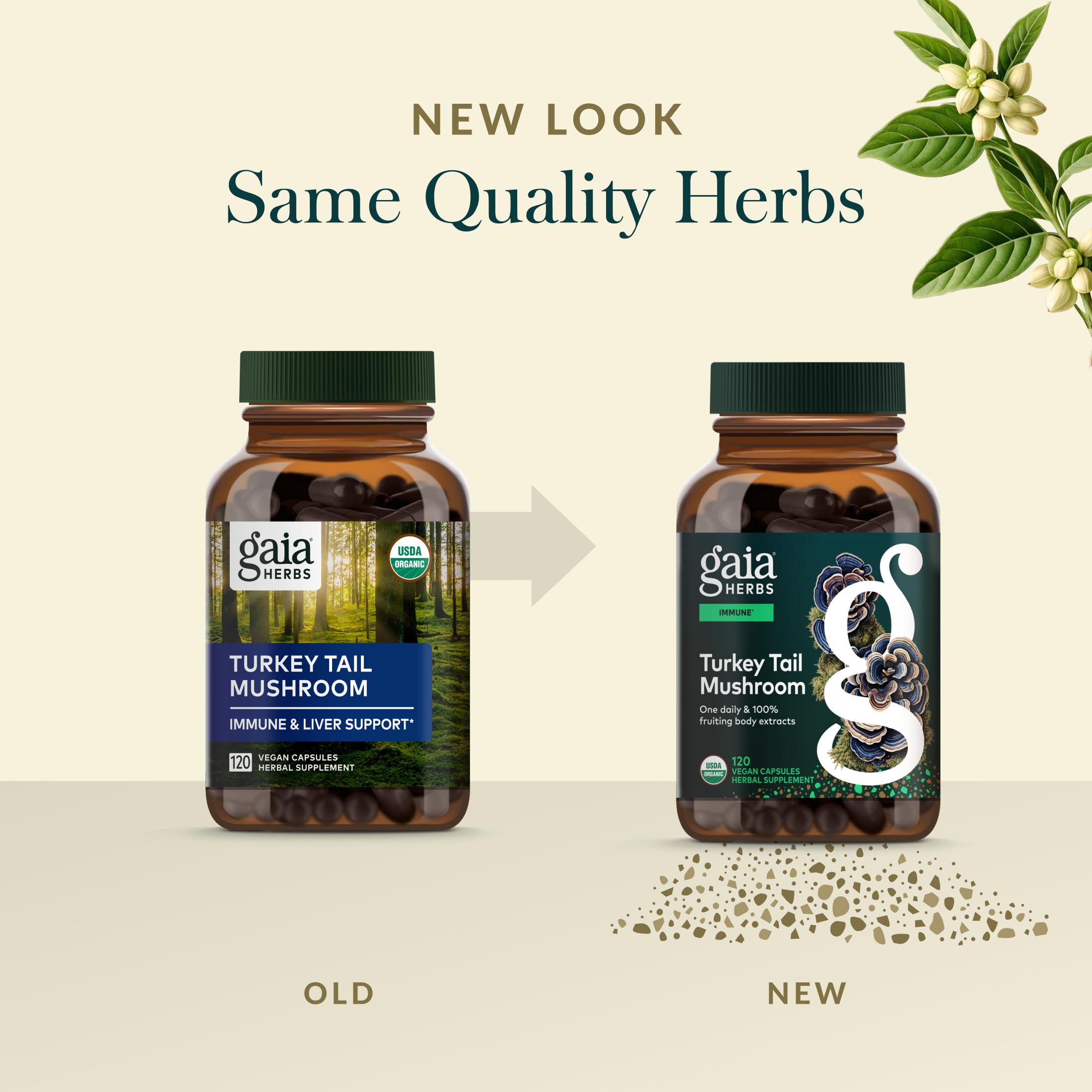 Gaia Herbs Turkey Tail amber bottle under natural light signaling purity.
