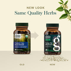 Gaia Herbs Turkey Tail amber bottle under natural light signaling purity.